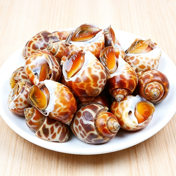 Premium Sea Snails Frozen Gourmet Delight