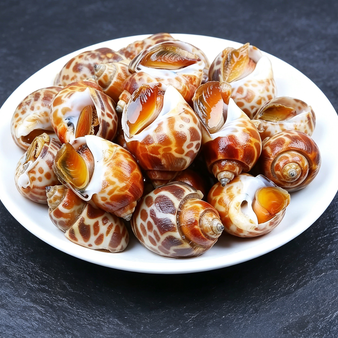 Premium Sea Snails Frozen Gourmet Delight