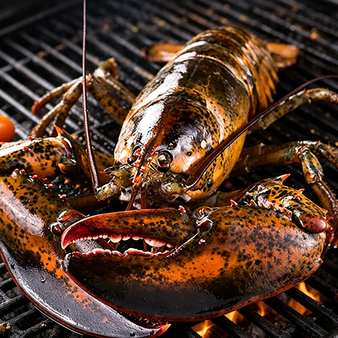 Whole Royal Maine Lobster Frozen Gourmet